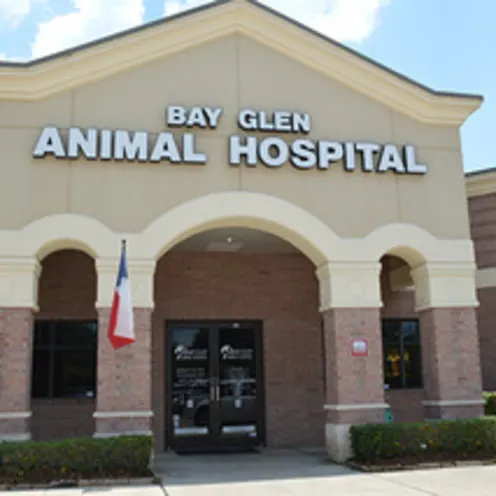 front entrance of Bay Glen Animal Hospital